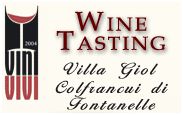 vinivivi